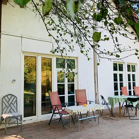 Apartmán Of Arts And Creation, Erdei Alkoto *
