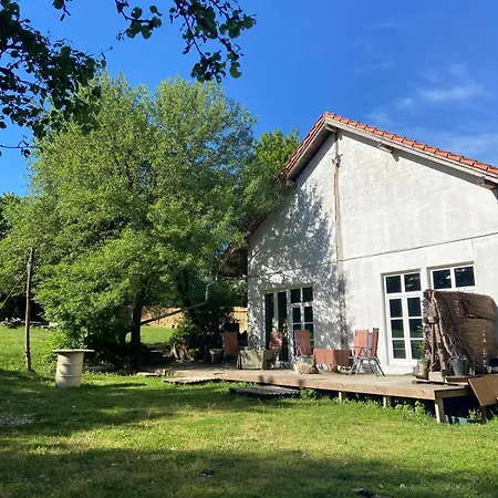 Apartmán Of Arts And Creation, Erdei Alkoto